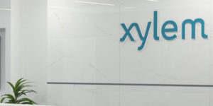 Xylem